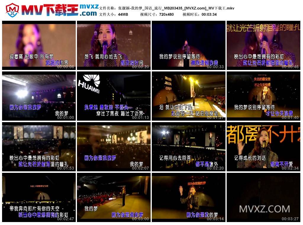 张靓颖-我的梦_国语_流行_MB203435